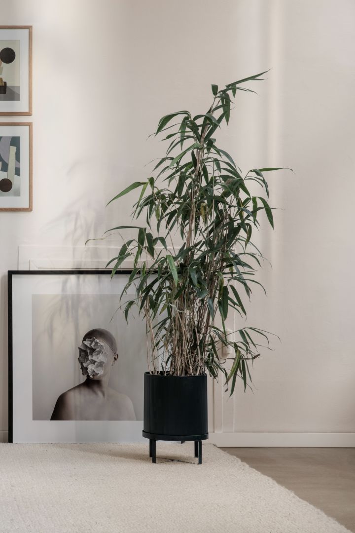 Pflanzen im Haus – 9 Blumentöpfe für ein grünes zu Hause. Dekorieren Sie mit dem Bau Topf aus schwarzem Stahl von Ferm Living.