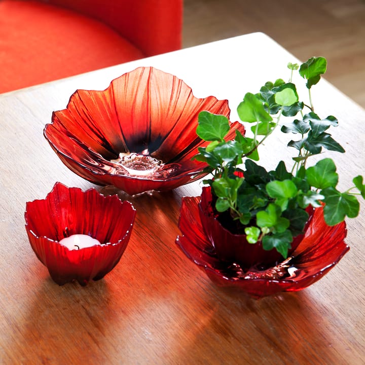 Poppy Schale medium - Rot -schwarz - Målerås Glasbruk