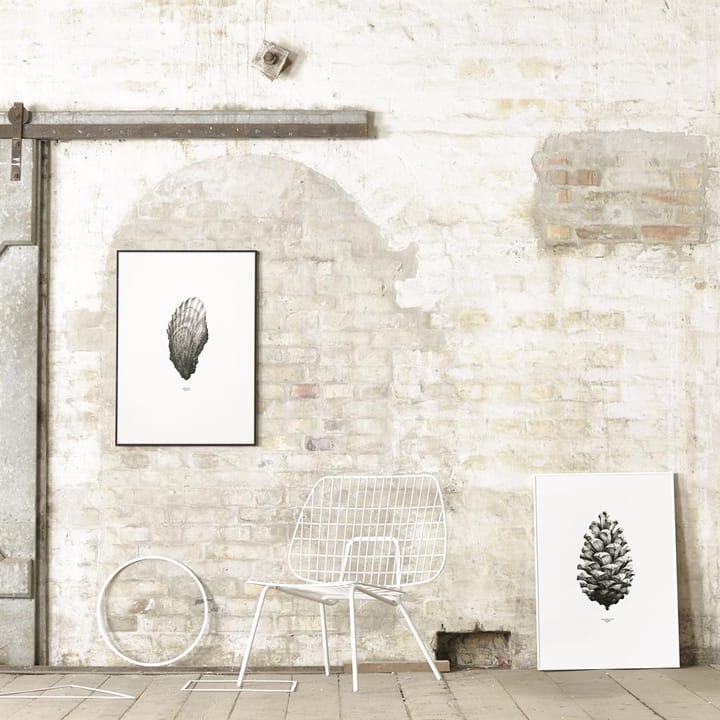 1:1 Oyster Poster - 50 x 70cm - Paper Collective