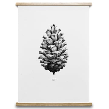 1:1 Pine Cone Poster - Weiß, 50 x 70cm - Paper Collective