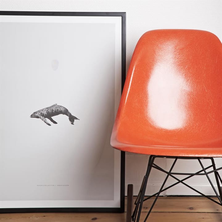 Whale Reprise Poster - 50 x 70cm - Paper Collective