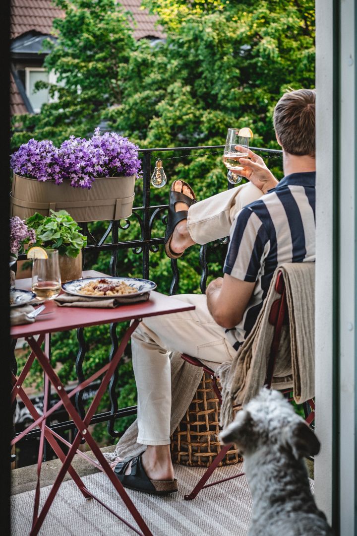Instagram-Profil: Hannes Mauritzson auf dem Balkon in der Stadt mit seinem Hund Charlie. 